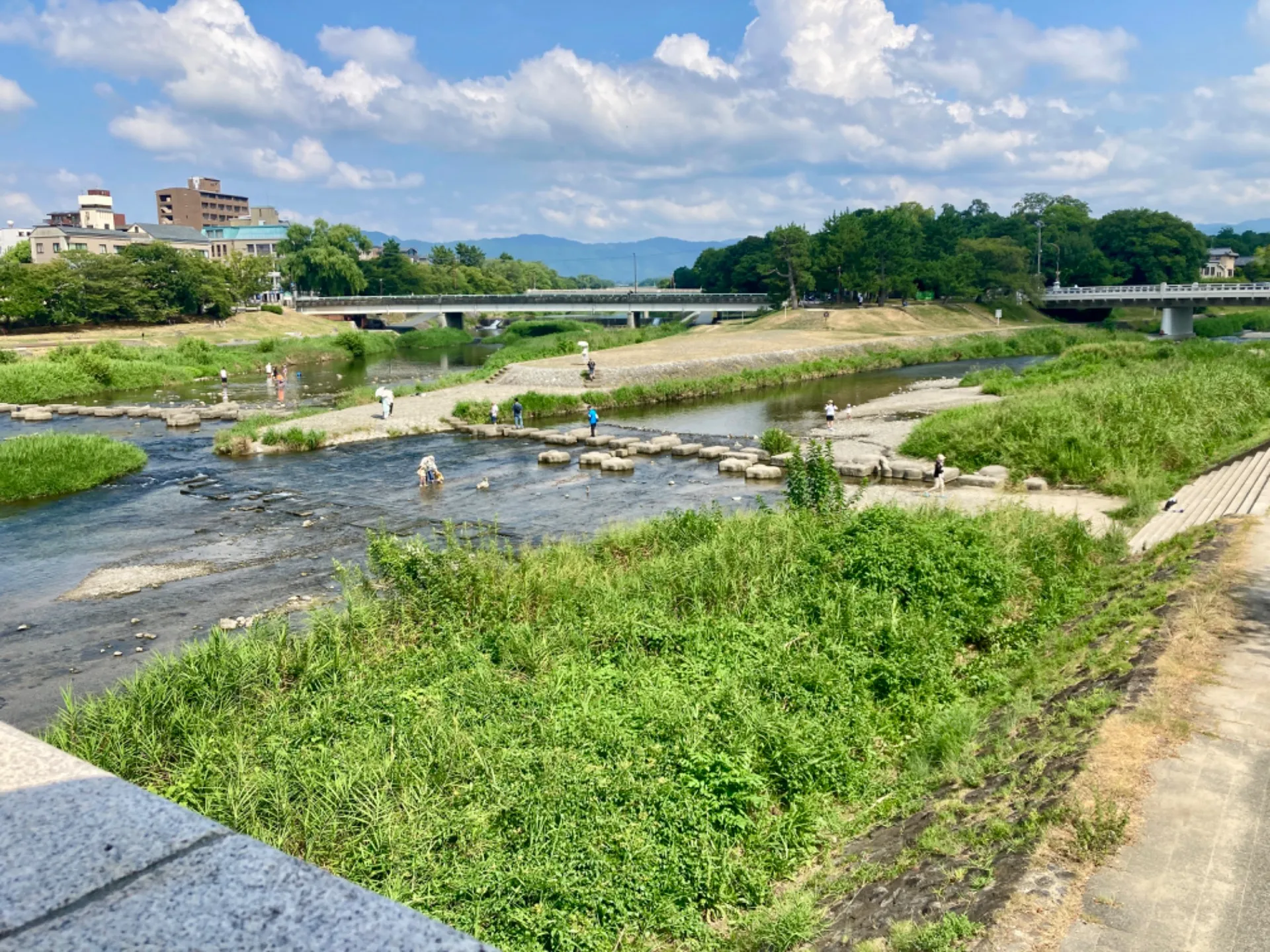 鴨川観測