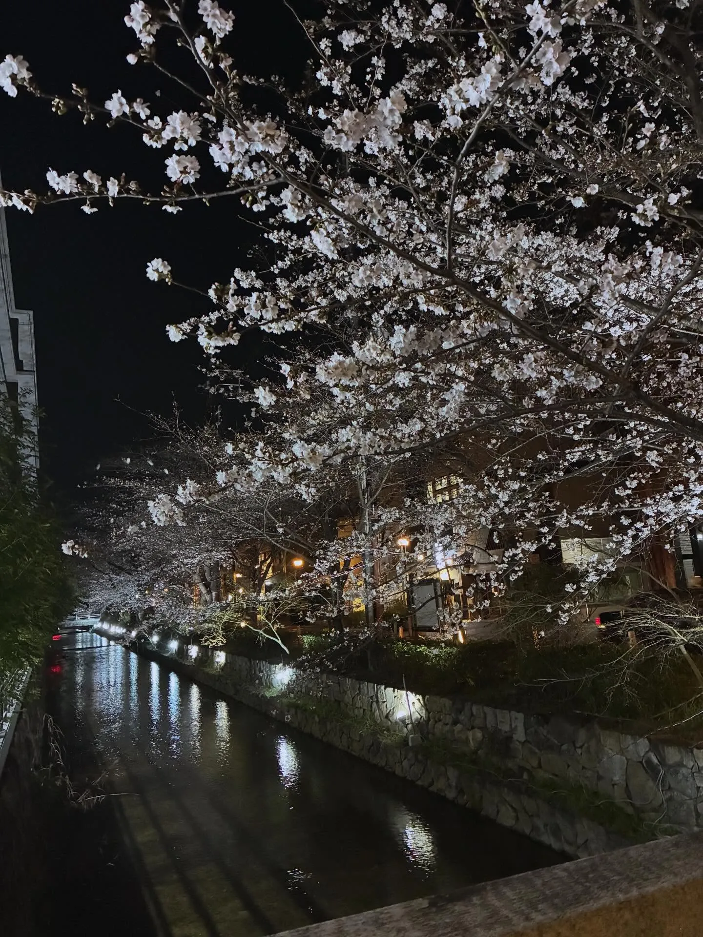 東の方より一条の光